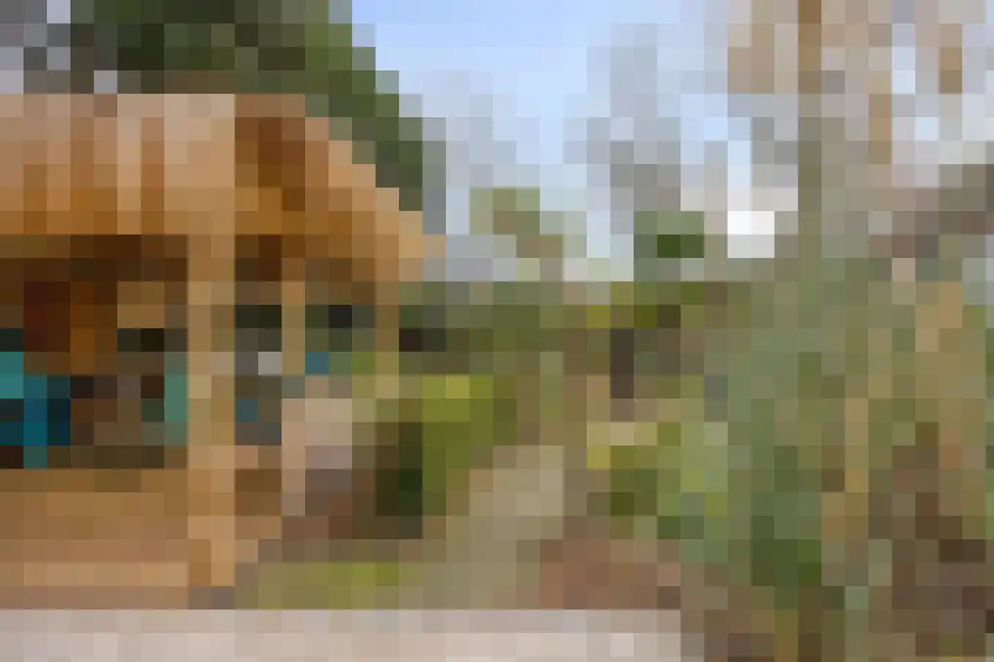 Laageindsbroek 8 Rijkevoort thumbnail 59