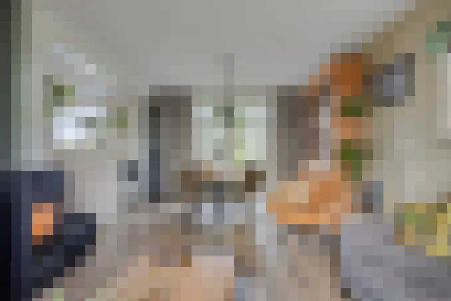 Laageindsbroek 8 Rijkevoort thumbnail 6