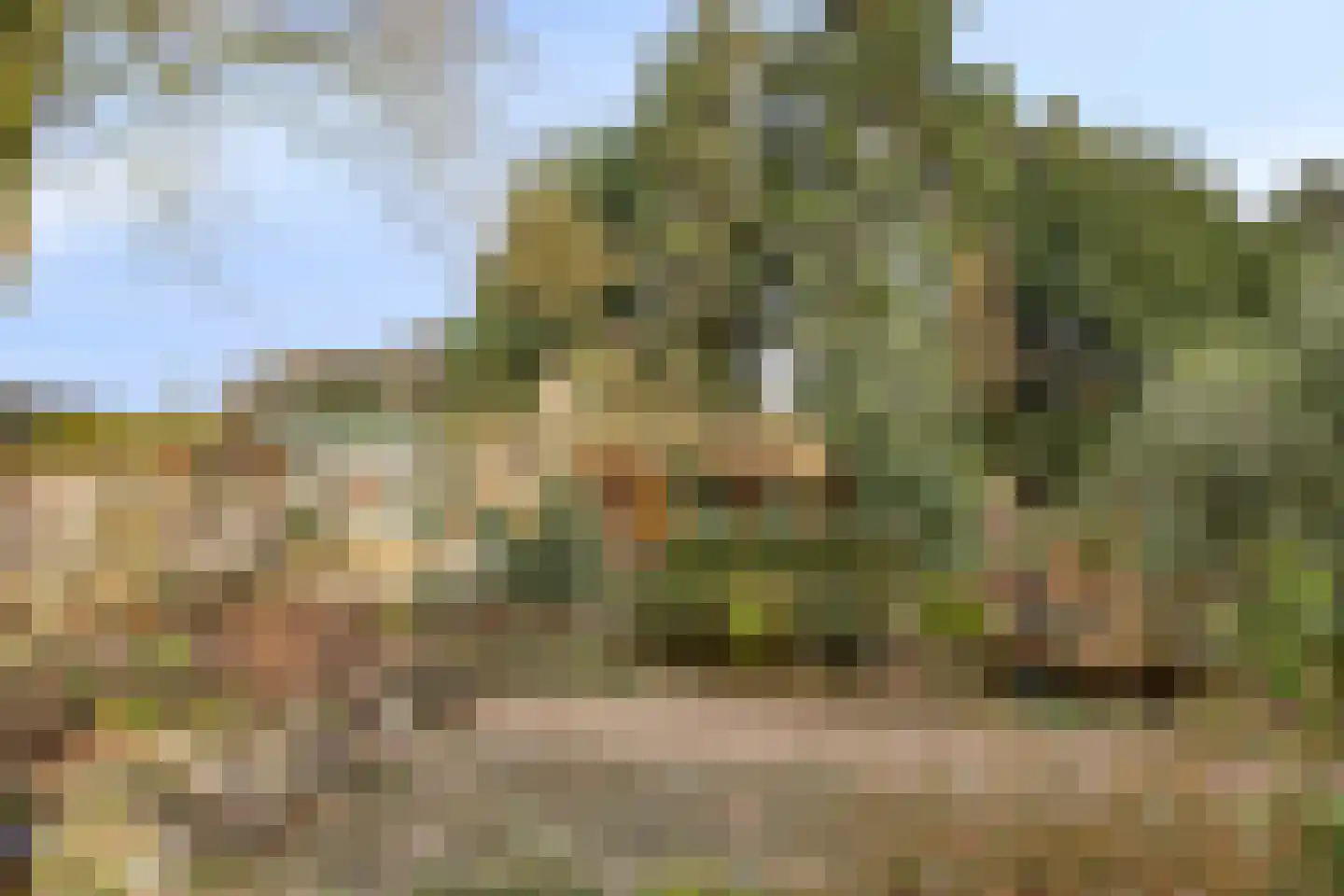 Laageindsbroek 8 Rijkevoort thumbnail 62