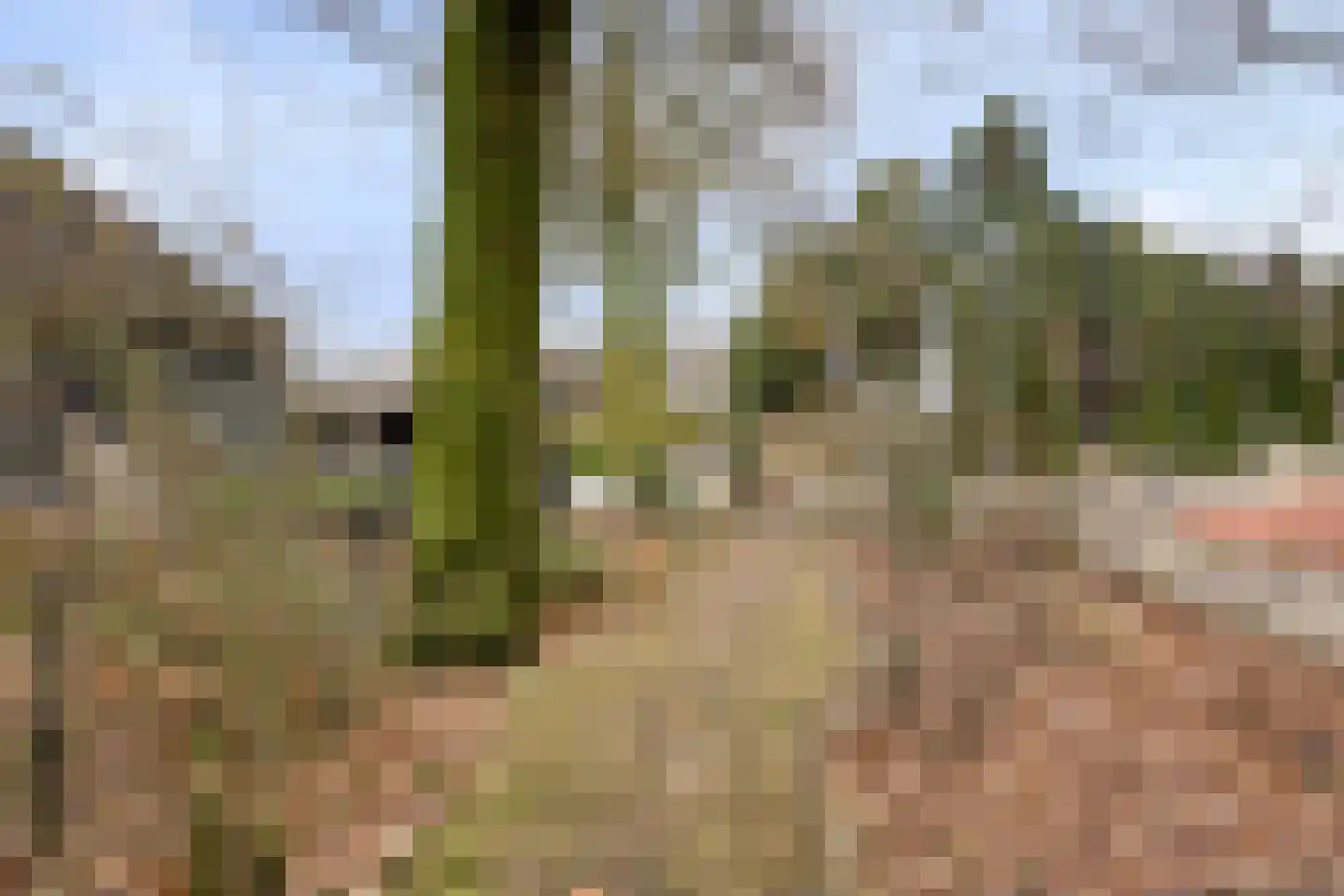 Laageindsbroek 8 Rijkevoort thumbnail 63