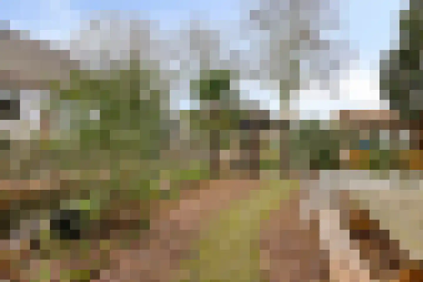 Laageindsbroek 8 Rijkevoort thumbnail 64