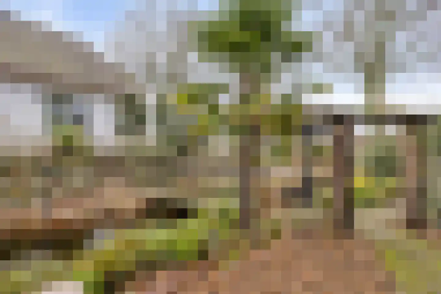 Laageindsbroek 8 Rijkevoort thumbnail 65