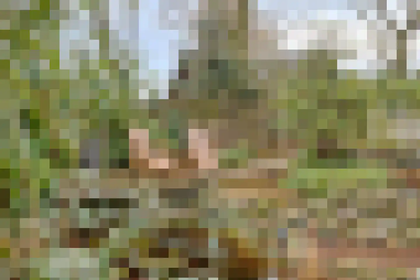 Laageindsbroek 8 Rijkevoort thumbnail 66
