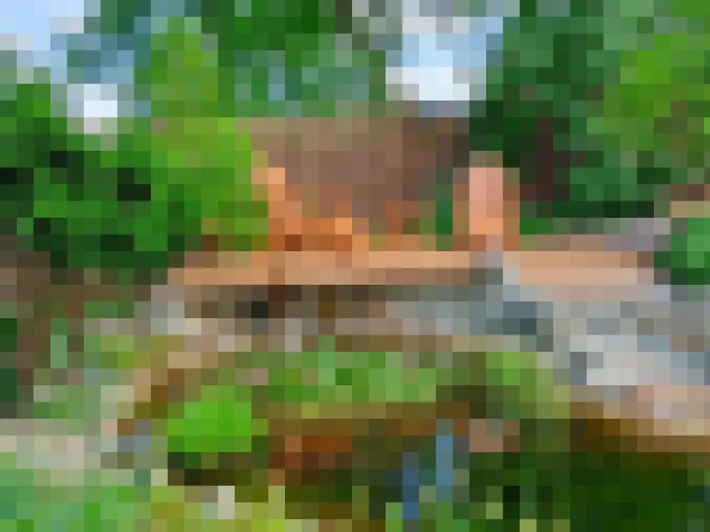 Laageindsbroek 8 Rijkevoort thumbnail 67