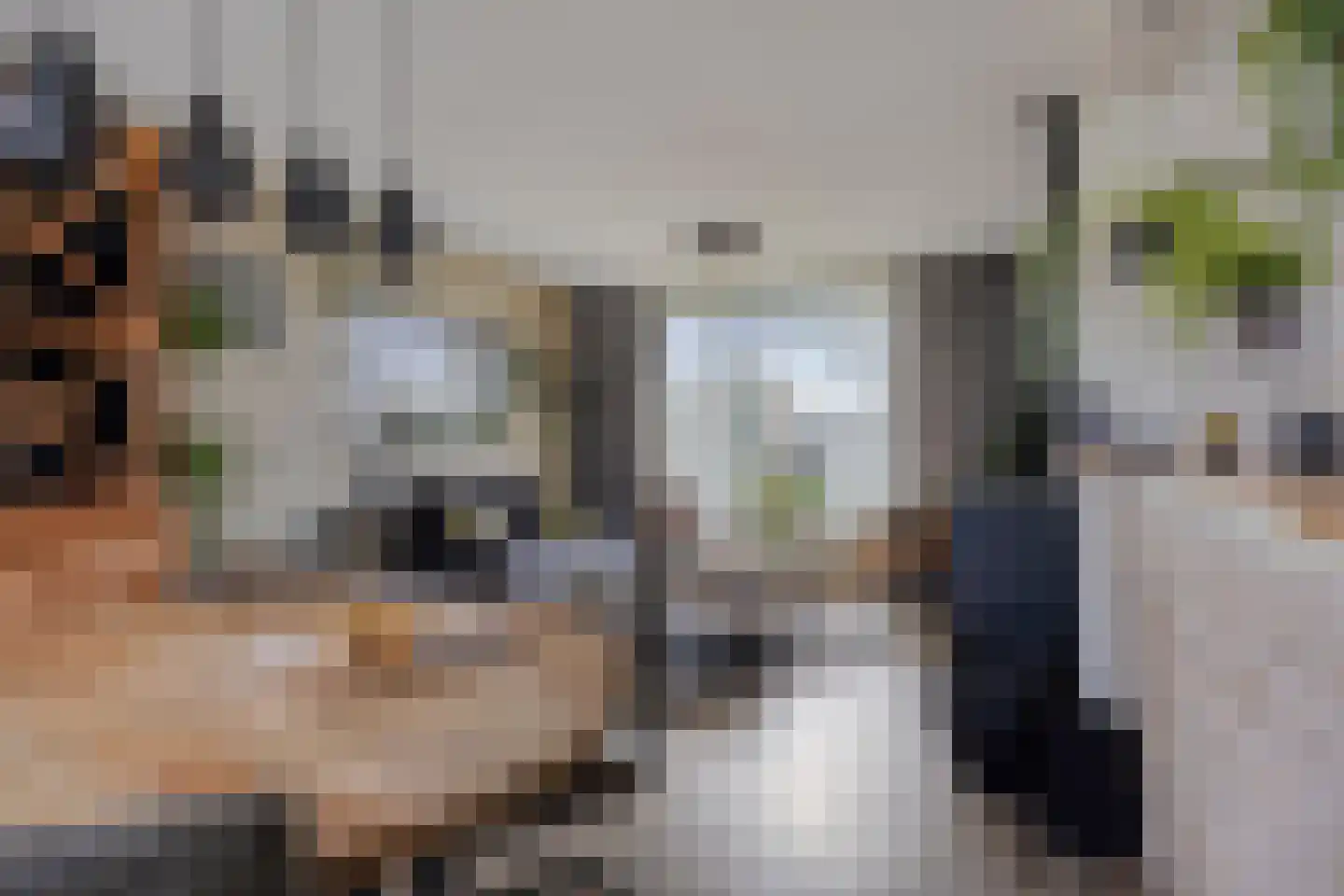Laageindsbroek 8 Rijkevoort thumbnail 7