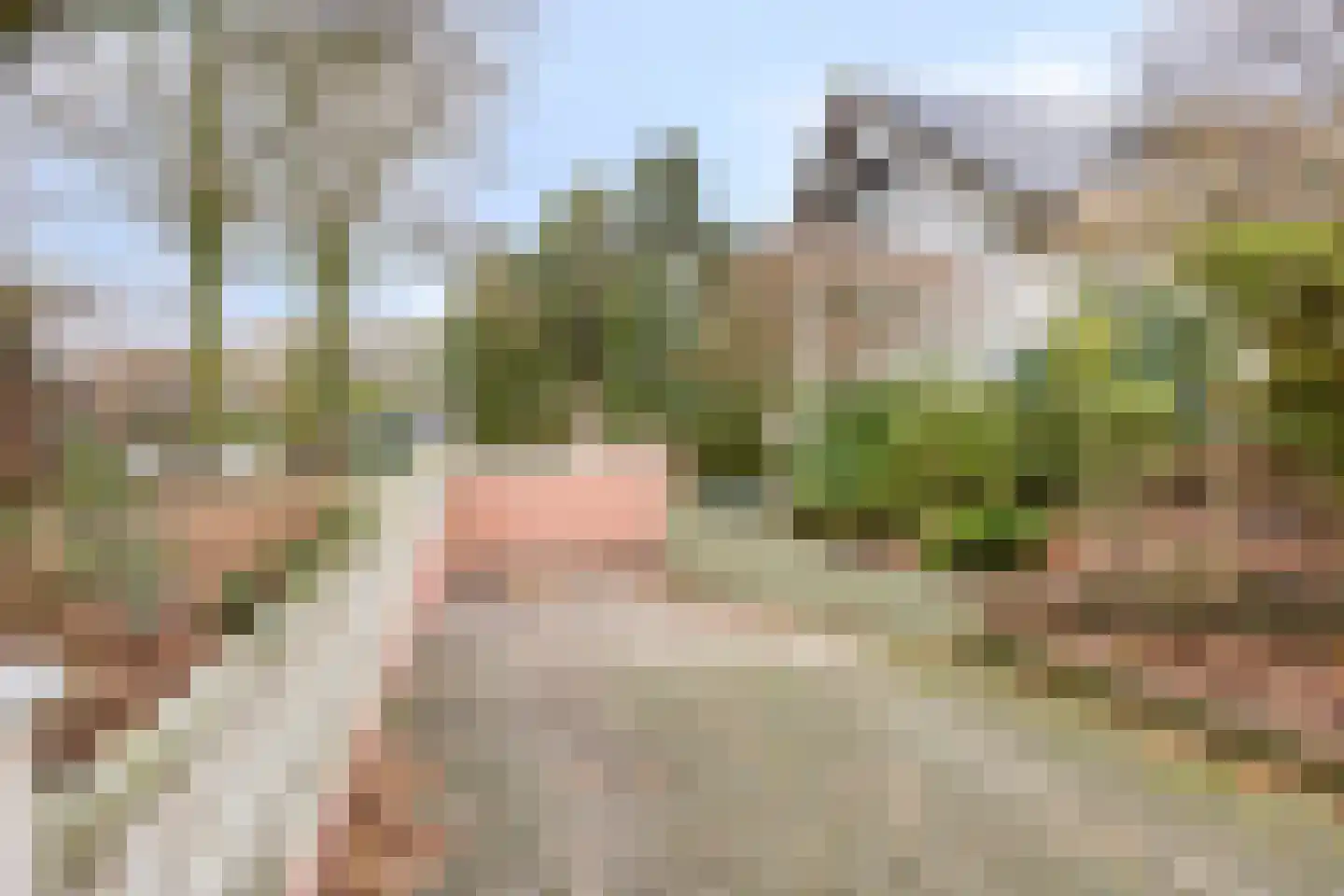 Laageindsbroek 8 Rijkevoort thumbnail 71