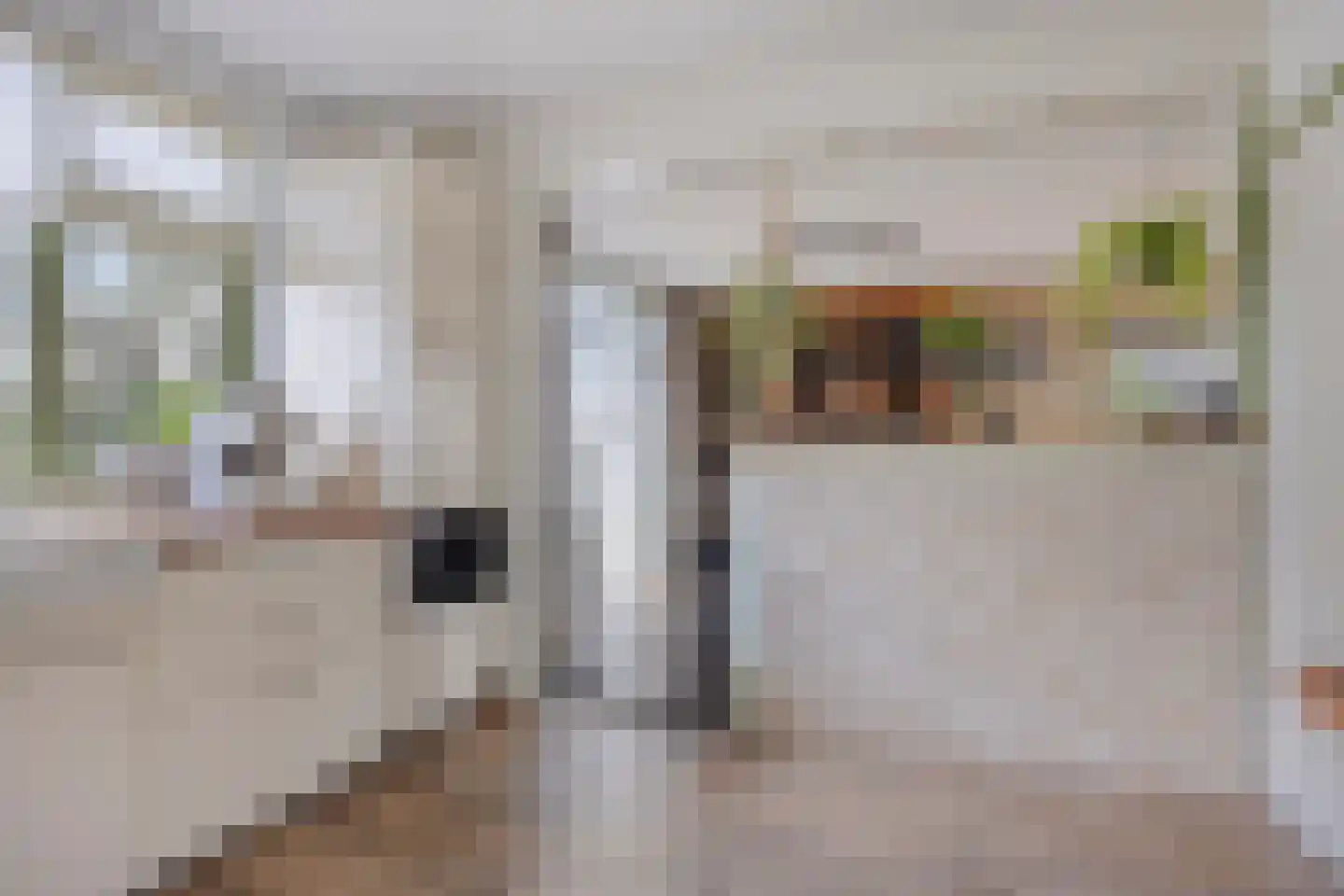 Laageindsbroek 8 Rijkevoort thumbnail 72