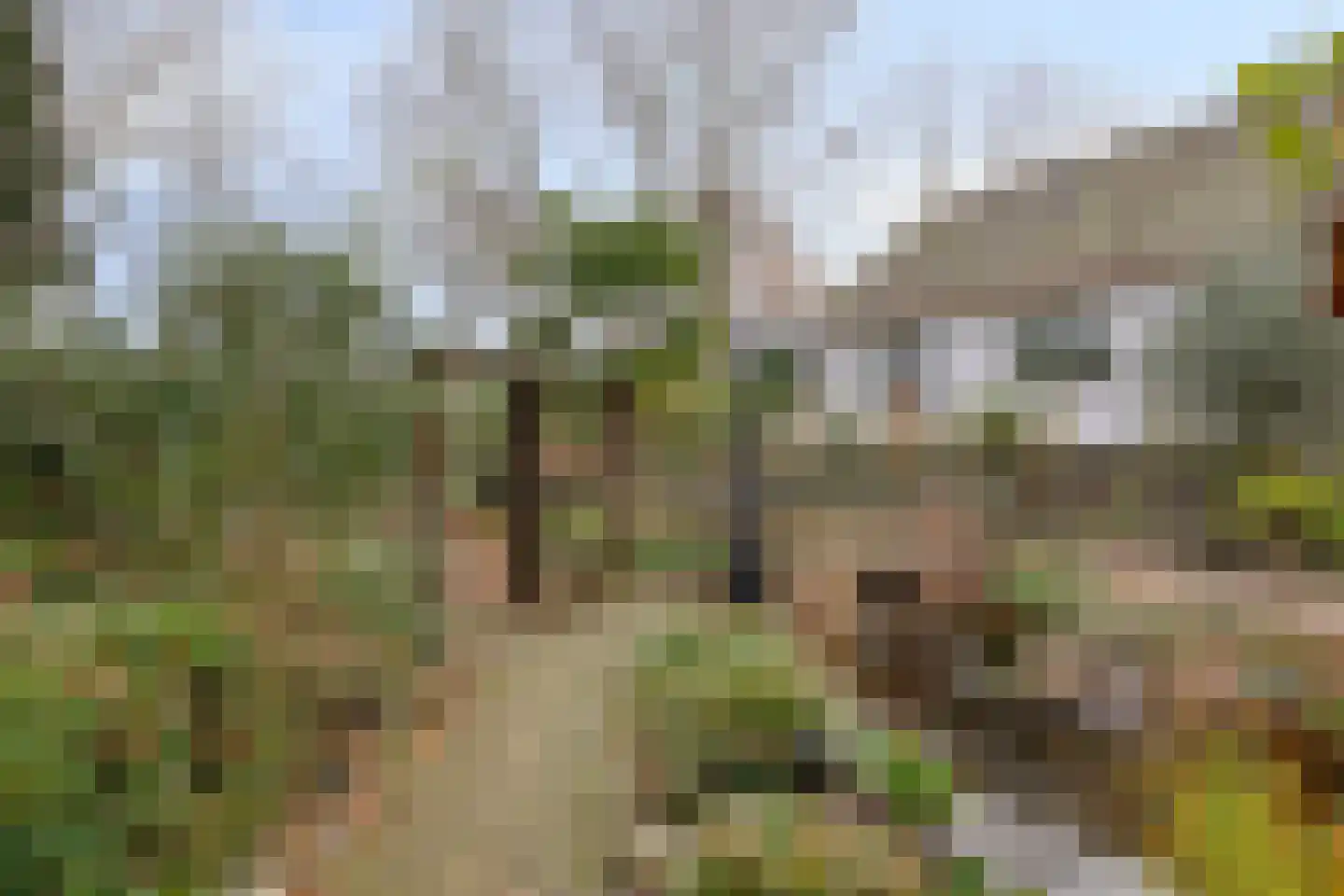 Laageindsbroek 8 Rijkevoort thumbnail 87