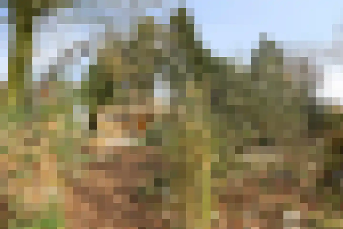 Laageindsbroek 8 Rijkevoort thumbnail 88