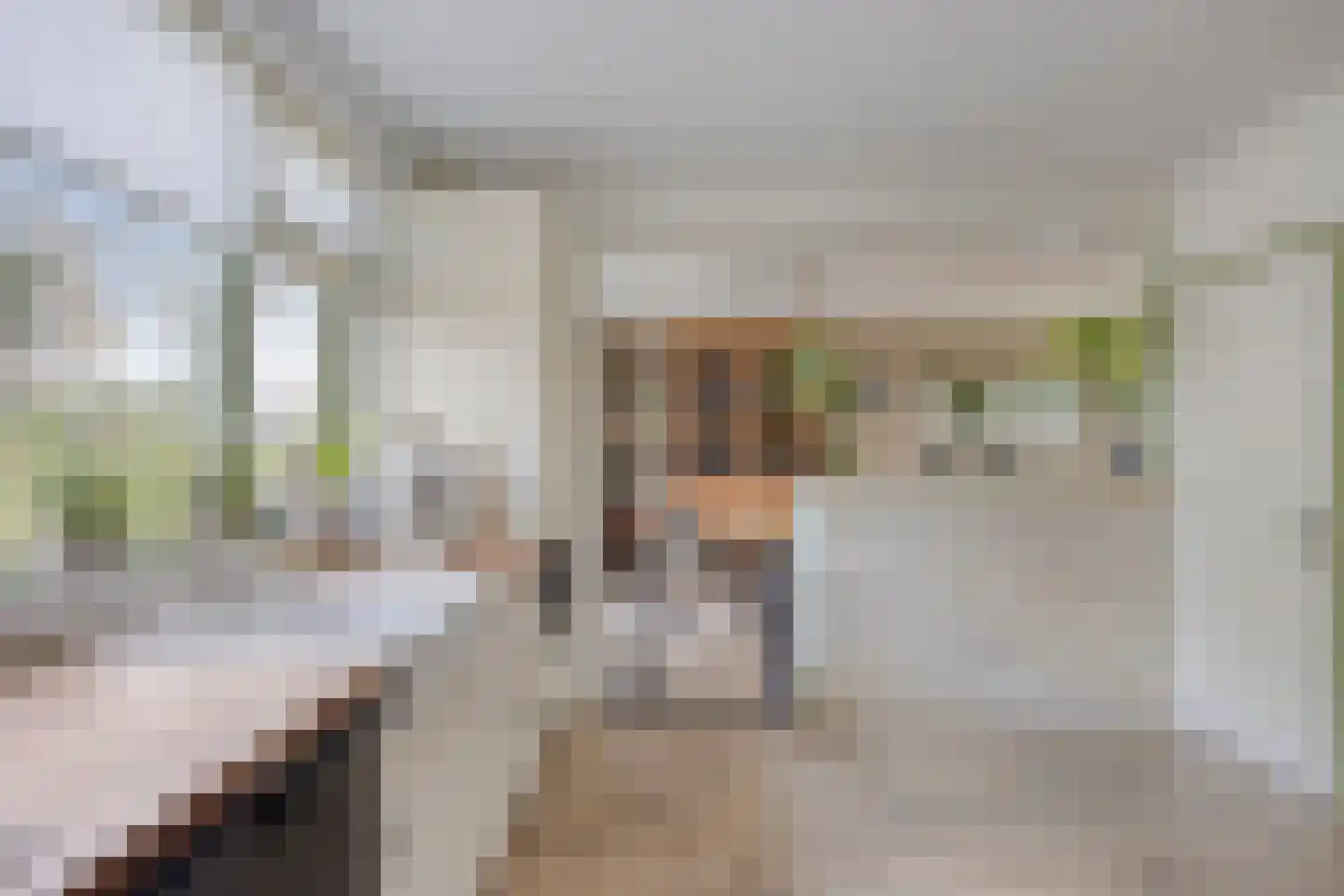 Laageindsbroek 8 Rijkevoort thumbnail 9
