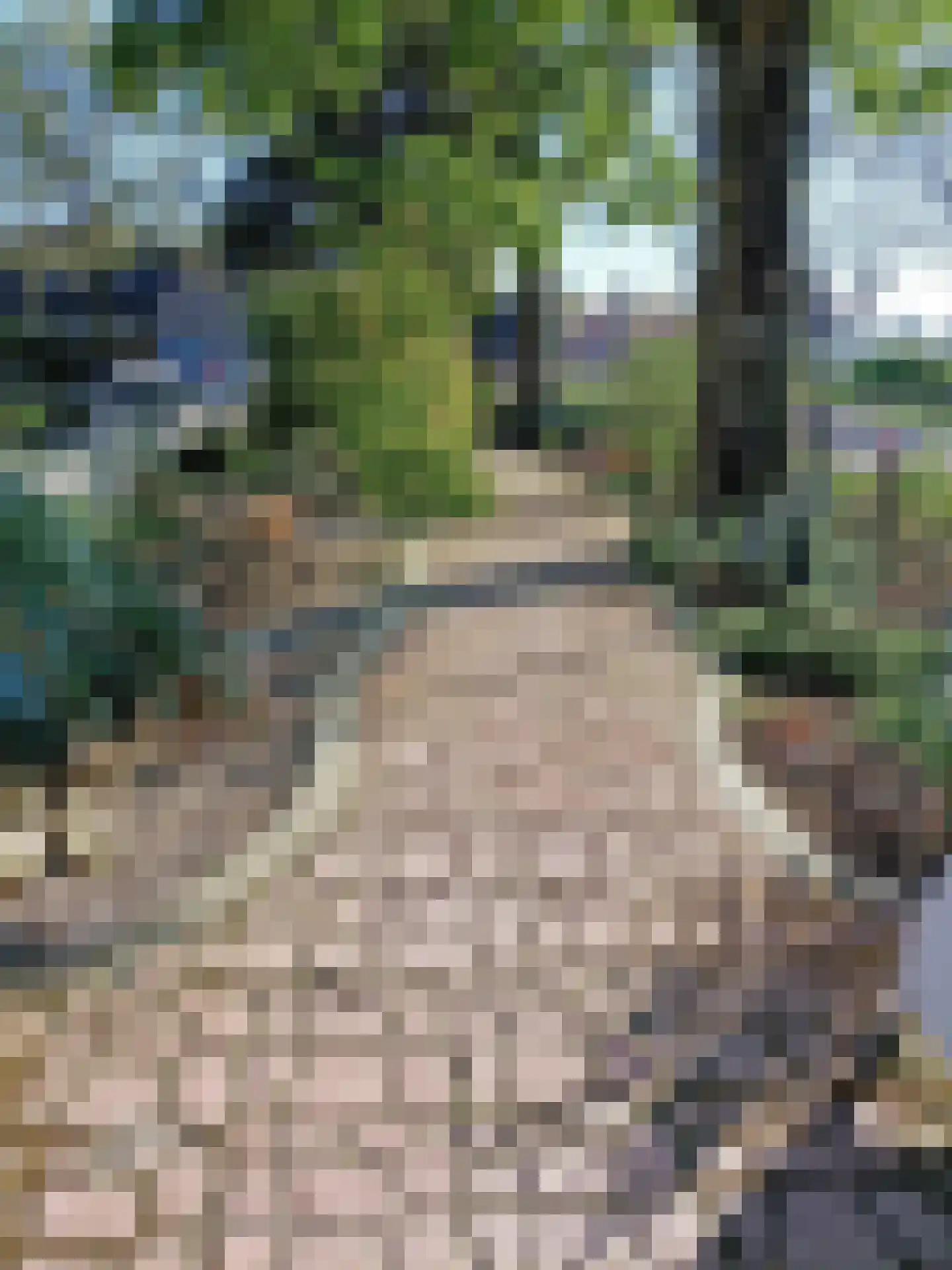 Laageindsbroek 8 Rijkevoort thumbnail 91