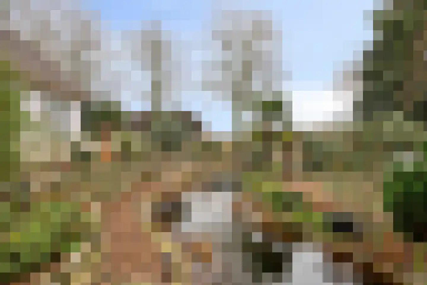 Laageindsbroek 8 Rijkevoort thumbnail 94