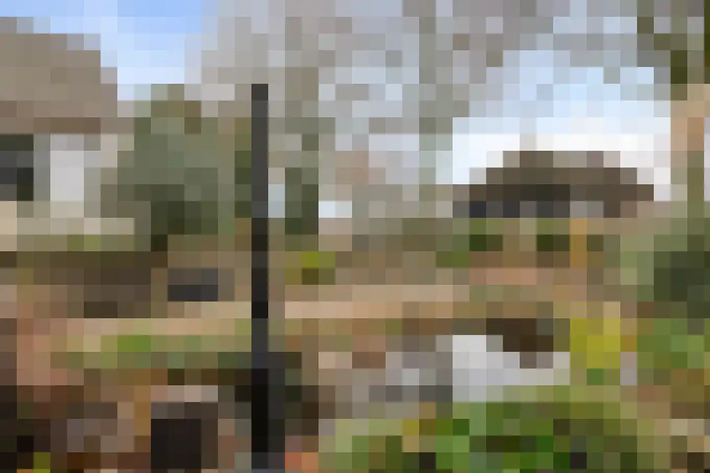 Laageindsbroek 8 Rijkevoort thumbnail 95
