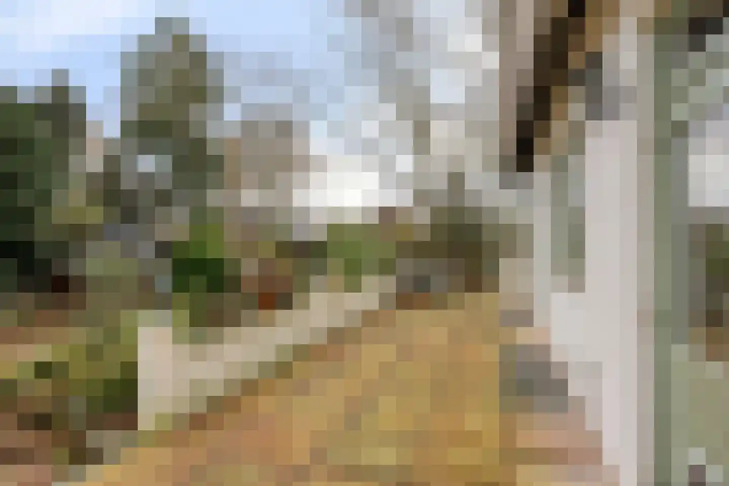 Laageindsbroek 8 Rijkevoort thumbnail 96