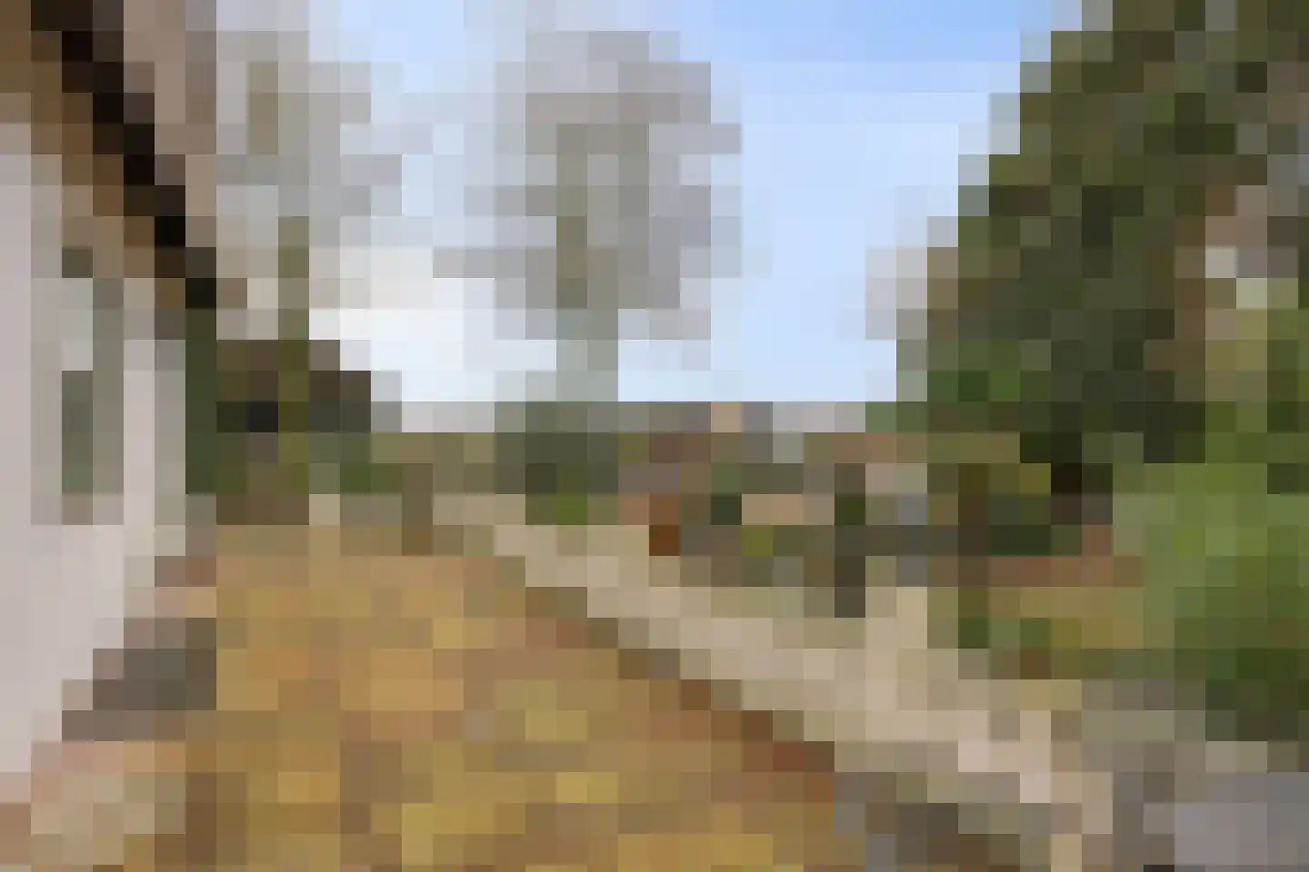 Laageindsbroek 8 Rijkevoort thumbnail 97