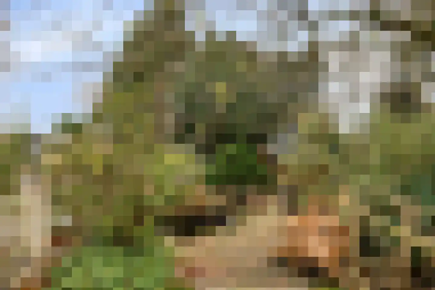 Laageindsbroek 8 Rijkevoort thumbnail 98
