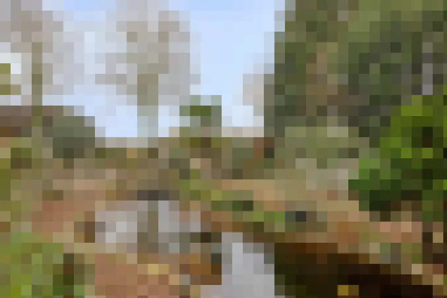 Laageindsbroek 8 Rijkevoort thumbnail 99