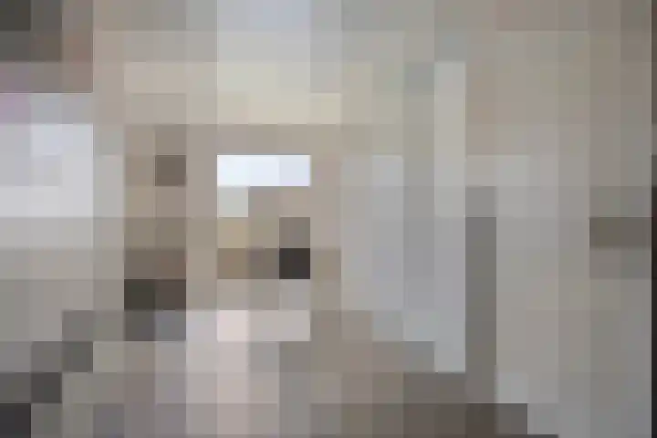 Laageindsedijk 21 Rijkevoort thumbnail 14