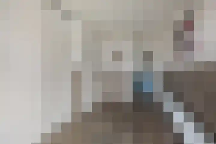 Laageindsedijk 21 Rijkevoort thumbnail 15