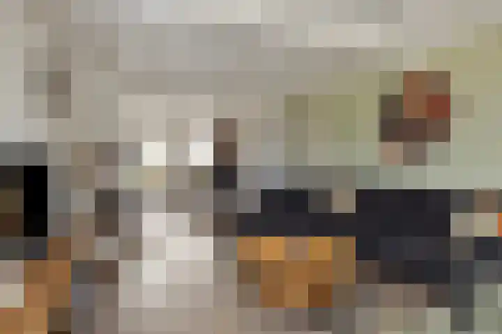Laageindsedijk 21 Rijkevoort thumbnail 17