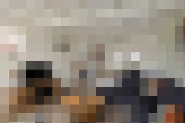 Laageindsedijk 21 Rijkevoort thumbnail 18