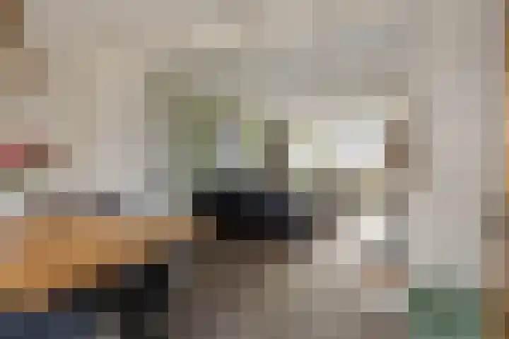 Laageindsedijk 21 Rijkevoort thumbnail 19