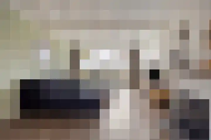 Laageindsedijk 21 Rijkevoort thumbnail 20