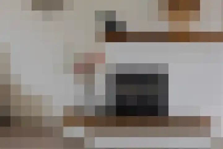 Laageindsedijk 21 Rijkevoort thumbnail 21