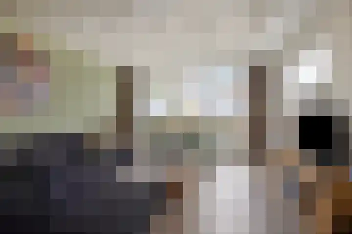Laageindsedijk 21 Rijkevoort thumbnail 22