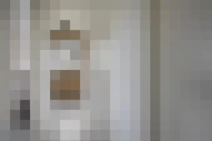 Laageindsedijk 21 Rijkevoort thumbnail 24