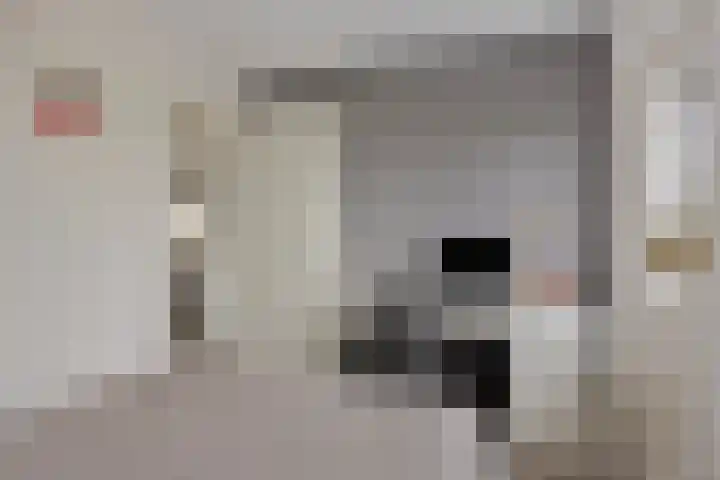 Laageindsedijk 21 Rijkevoort thumbnail 26
