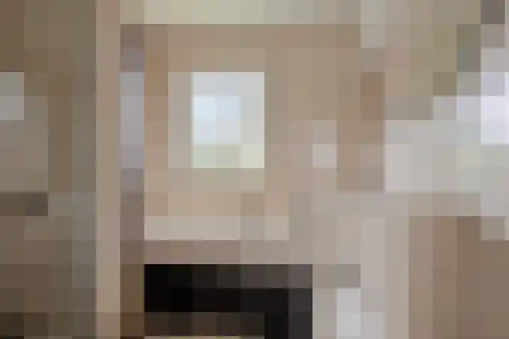 Laageindsedijk 21 Rijkevoort thumbnail 27