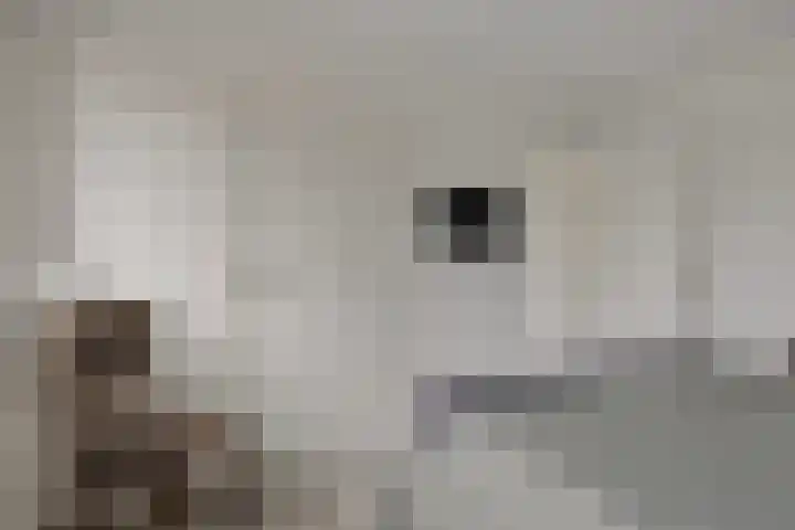 Laageindsedijk 21 Rijkevoort thumbnail 32