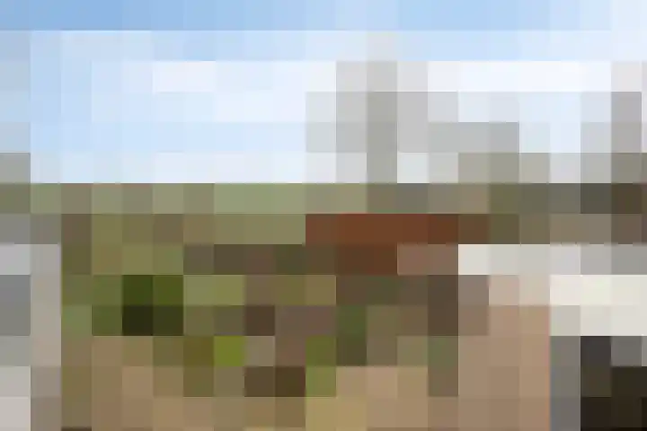 Laageindsedijk 21 Rijkevoort thumbnail 35