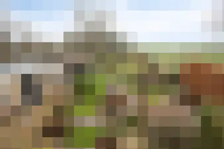 Laageindsedijk 21 Rijkevoort thumbnail 36