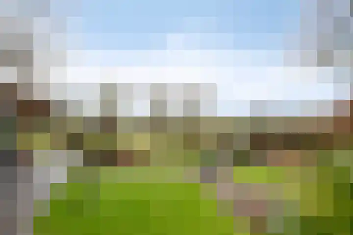Laageindsedijk 21 Rijkevoort thumbnail 38