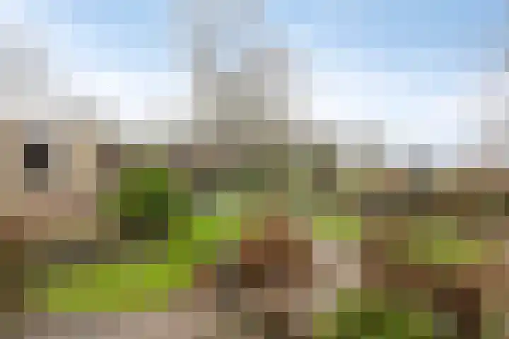 Laageindsedijk 21 Rijkevoort thumbnail 39