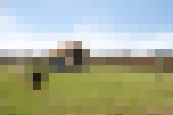Laageindsedijk 21 Rijkevoort thumbnail 41