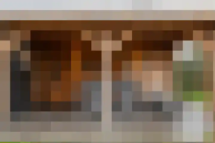 Laageindsedijk 21 Rijkevoort thumbnail 42