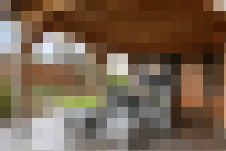 Laageindsedijk 21 Rijkevoort thumbnail 43