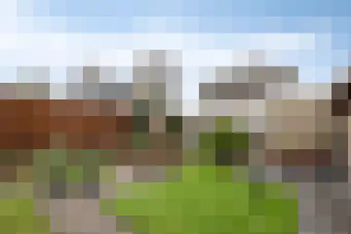 Laageindsedijk 21 Rijkevoort thumbnail 44