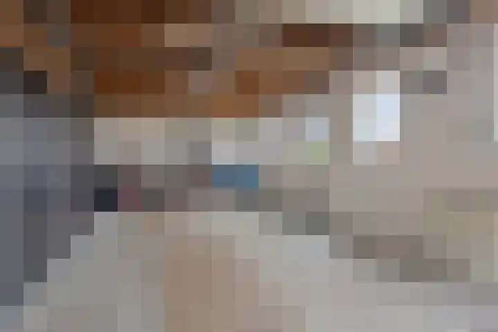 Laageindsedijk 21 Rijkevoort thumbnail 46