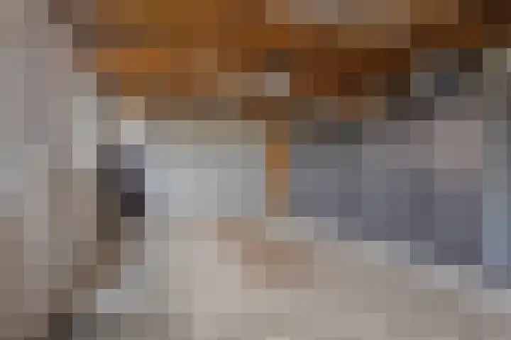 Laageindsedijk 21 Rijkevoort thumbnail 47