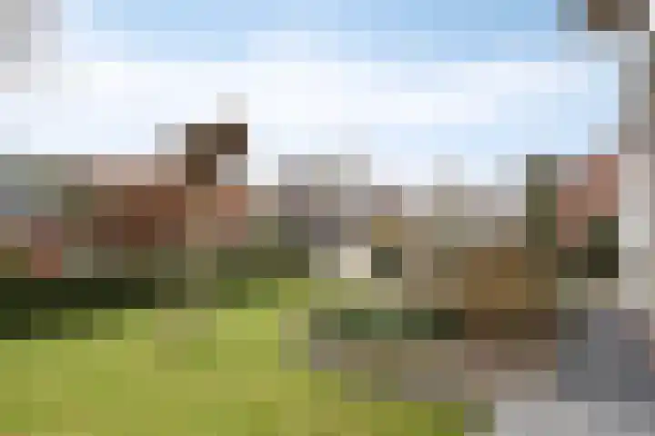 Laageindsedijk 21 Rijkevoort thumbnail 48