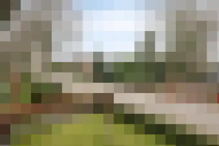 Laageindsedijk 21 Rijkevoort thumbnail 49