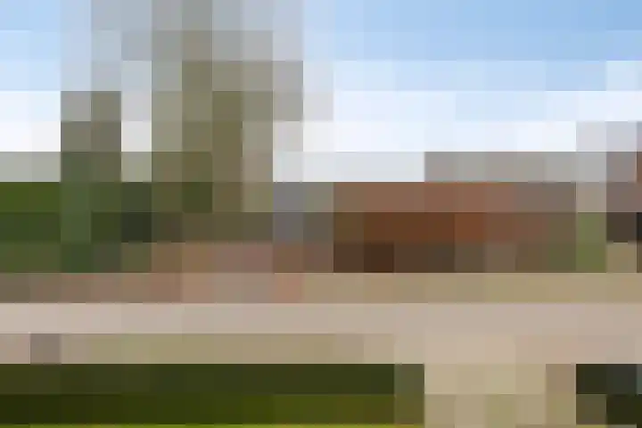 Laageindsedijk 21 Rijkevoort thumbnail 50