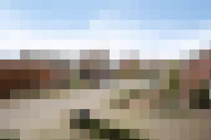 Laageindsedijk 21 Rijkevoort thumbnail 51