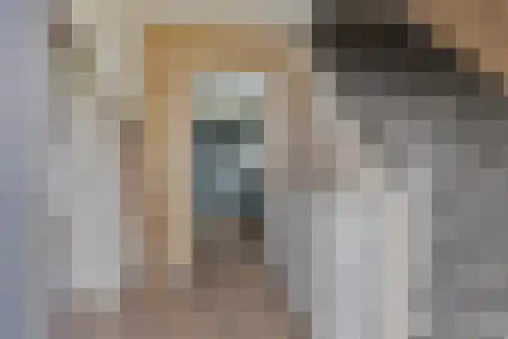 Laageindsedijk 21 Rijkevoort thumbnail 9