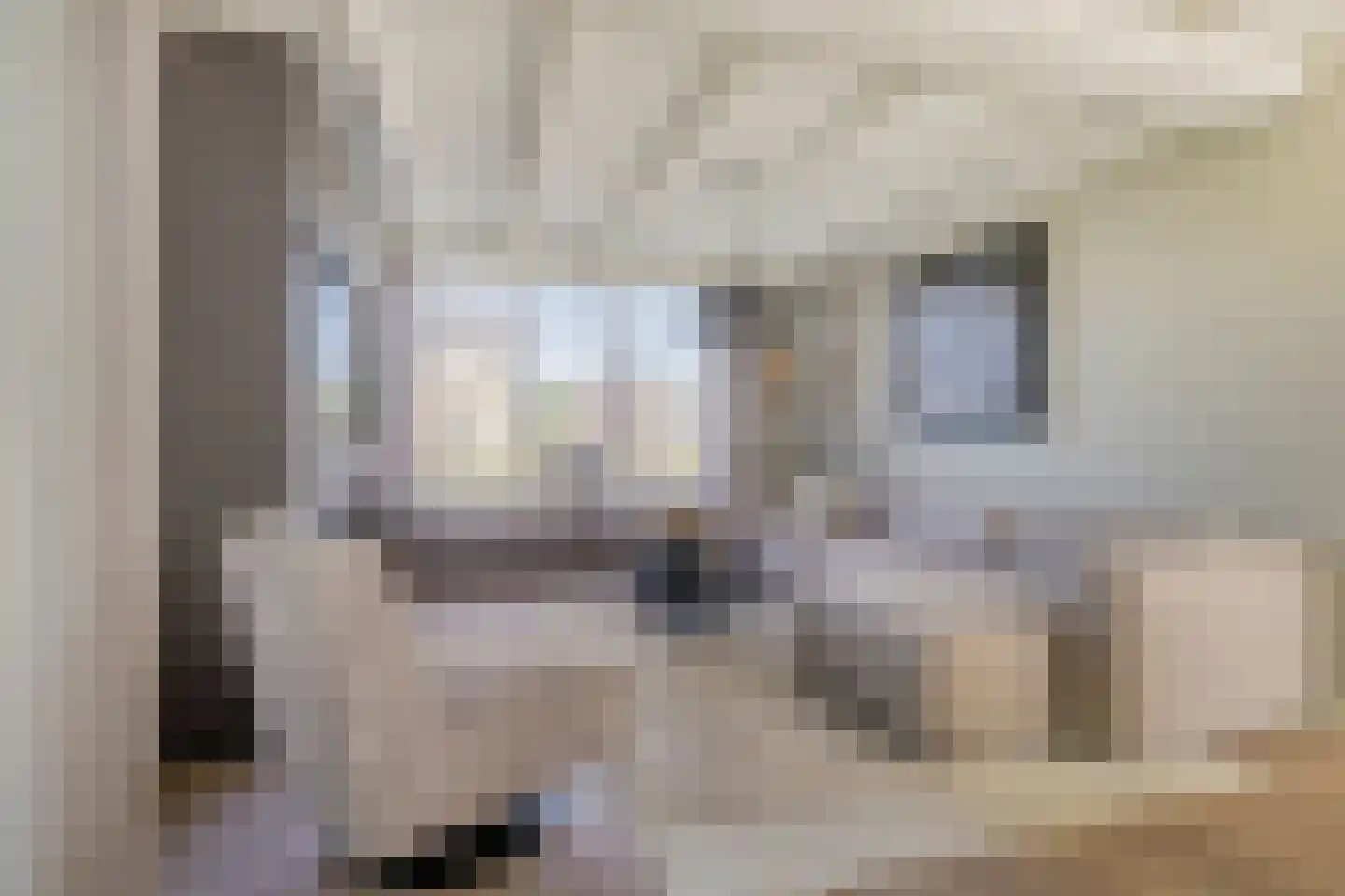 Laageindsedijk 3 Rijkevoort thumbnail 13