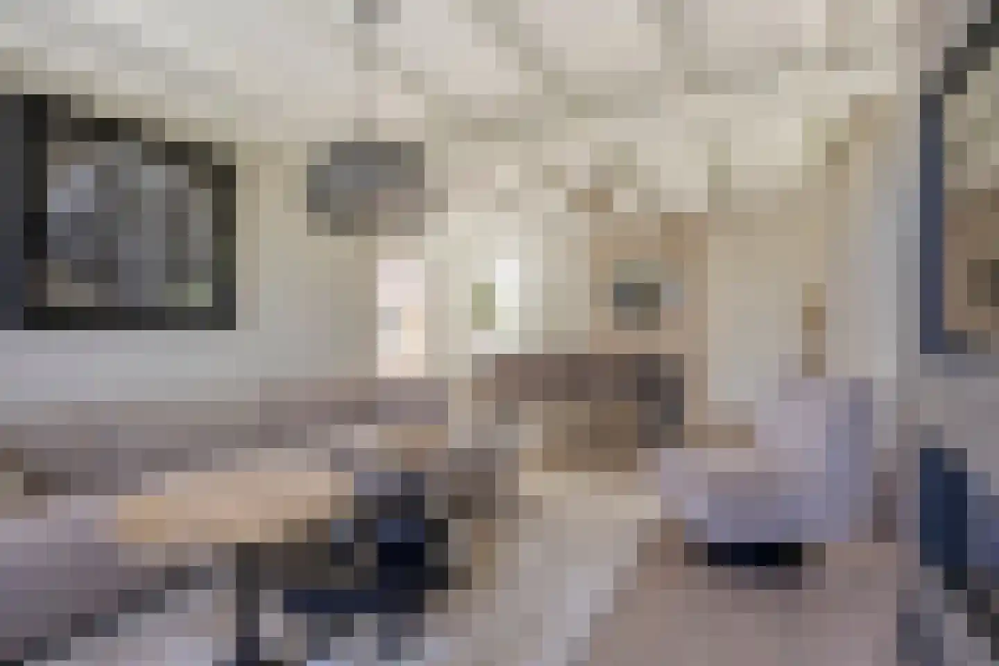 Laageindsedijk 3 Rijkevoort thumbnail 15